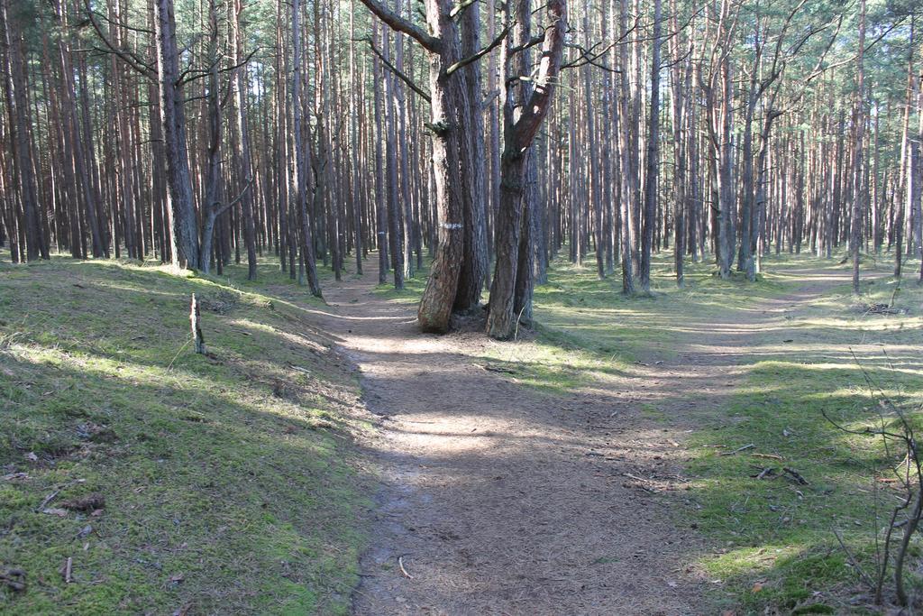 Studio Pluke Паланга Екстер'єр фото